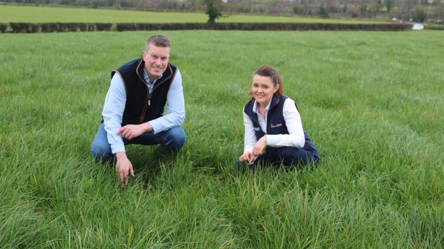 Protected urea sales continue to grow in Northern Ireland