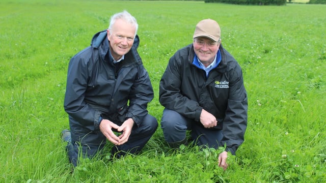 Opinion: Let the great grass-cutting height debate begin