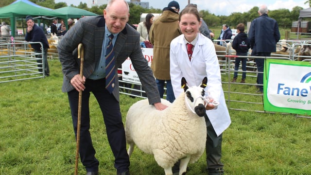 Impressive turnout of sheep at Ballymena Show 2024