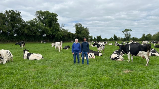 Dairy Throwback: The Dondale Herd – choosing pedigree over EBI