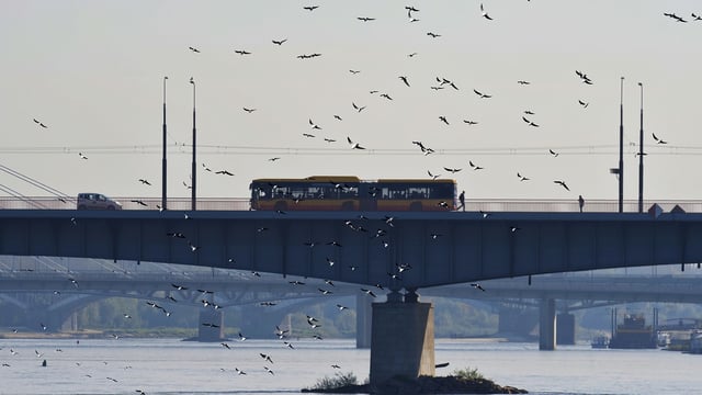 First death linked to avian influenza H5N2 occurs in Mexico