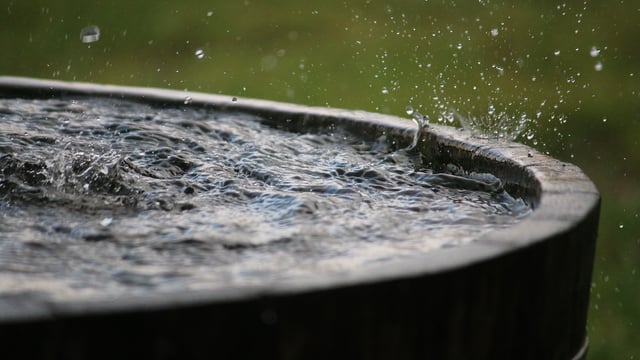 Farm walk to examine rainwater management for water quality
