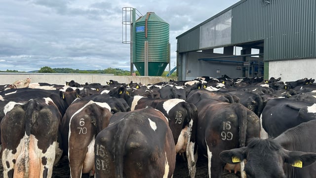 Milk price tracker: Prices continued to improve in June