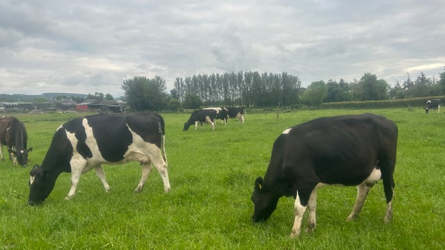 Maximising grass intake during potential pinch point in April