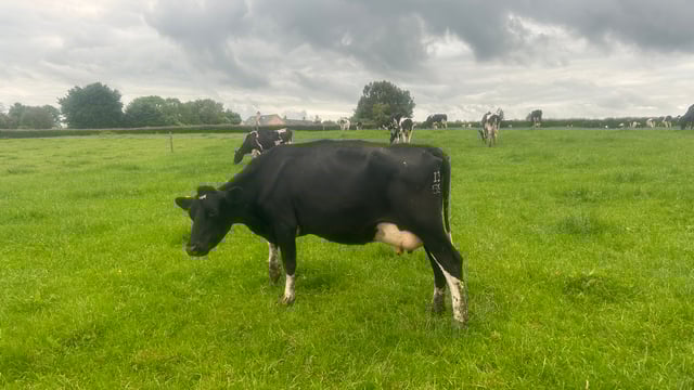 Grass growth rates see no improvement this week