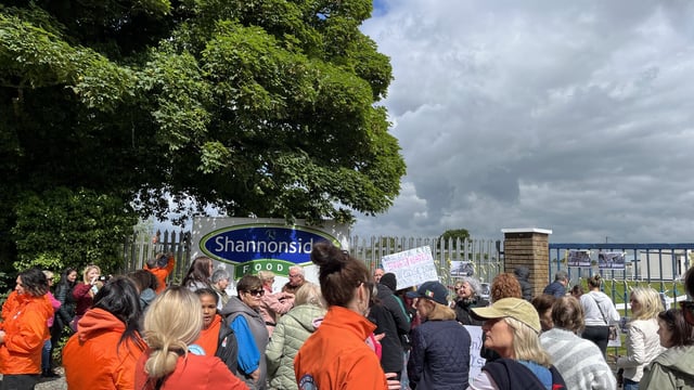 Protesters gather at horse abattoir following exposed animal abuse