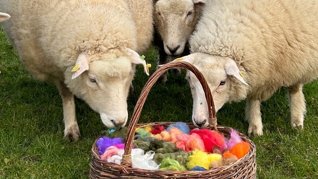 Cavan enterprise produces needle felting kits using Irish wool