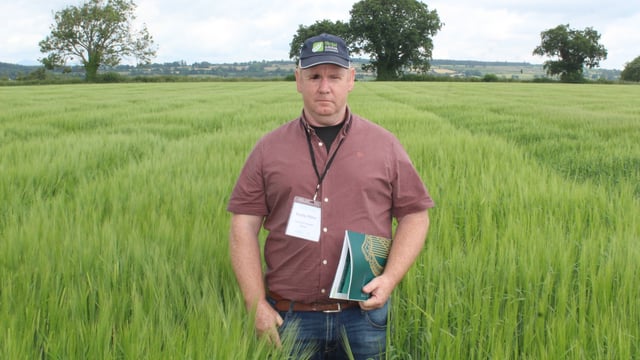 Plan needed to reflect tillage growth potential - IGGG