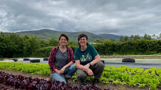 'Small-scale food production will answer a lot of problems' - suppliers