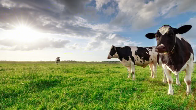Ireland to host 2025 European Carbon Farming Summit