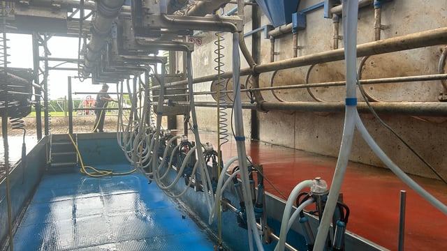 Milk Price Tracker: No drastic changes in prices paid for February