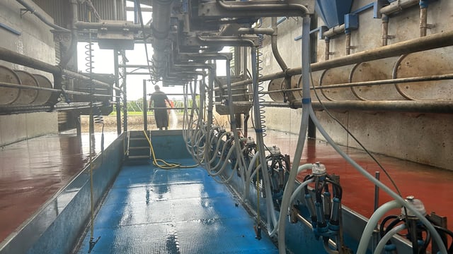 Dairy advice: When to do your first milk recording of 2025