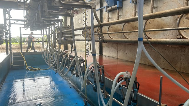 Dairy advice: The importance of teat spraying