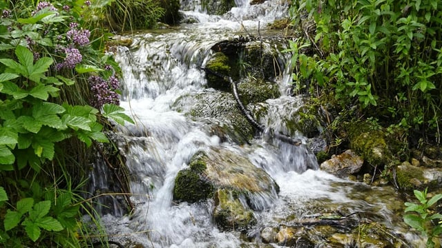 'Big appetite' on farms for improving water quality - DAFM chief inspector
