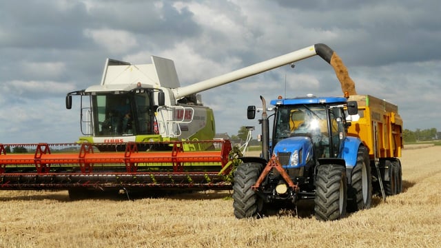 UK wheat harvest projected to come in at 11.7Mt