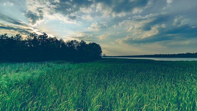 New research shows farmers want 'payment' for water quality measures