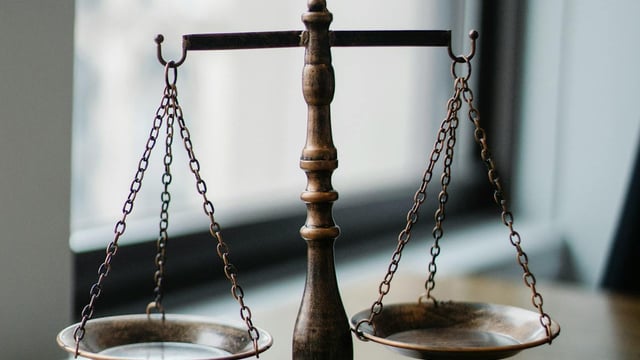 162 people prosecuted over animal welfare offences in last decade