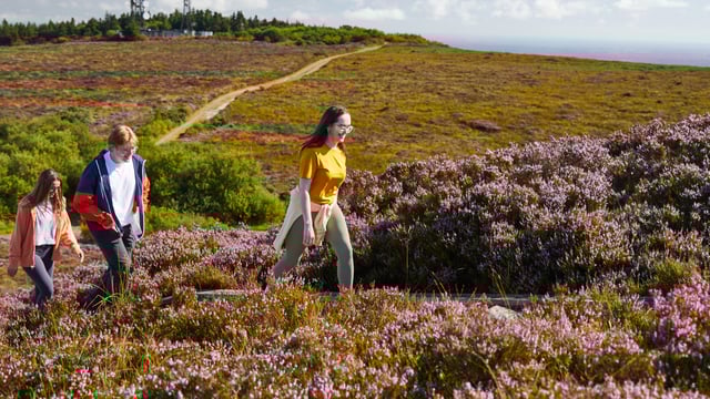 Bord na Móna to develop 79km of trails under new tourism scheme