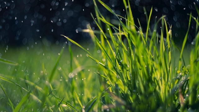 Weather: Mixed and changeable with showers and dry intervals