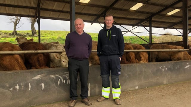 ABP Monitor Farms: More sucklers and a reseed in Sligo