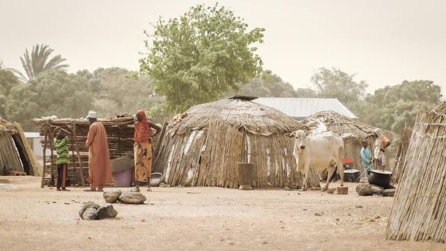 One in 11 people globally faced hunger in 2023 - UN