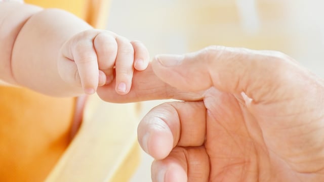 Census 2022: Parts of Mayo, Donegal and Cork record more deaths than births