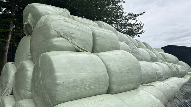Take action now if your fodder supply is tight for winter