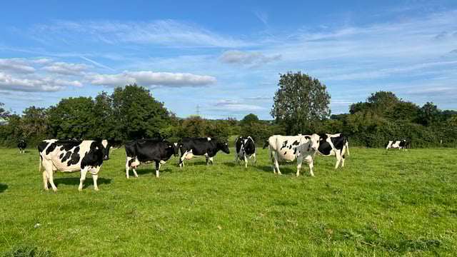 Delay of agricultural relief changes welcomed by ICMSA