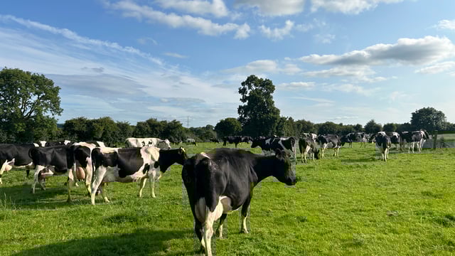 Milk Price Tracker: The positive milk price continues in August