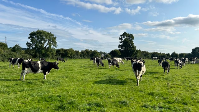 Cllr proposes campaign to boost Leitrim agriculture