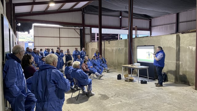 CAFRE sheep farm walk explores use of white clover in grazing