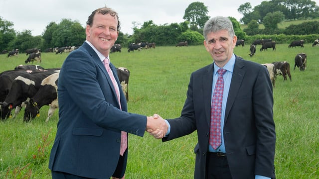 Dairygold appoints chief executive