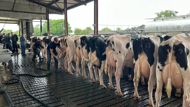 Watch: Dondale Herd impresses at the IHFA national open day