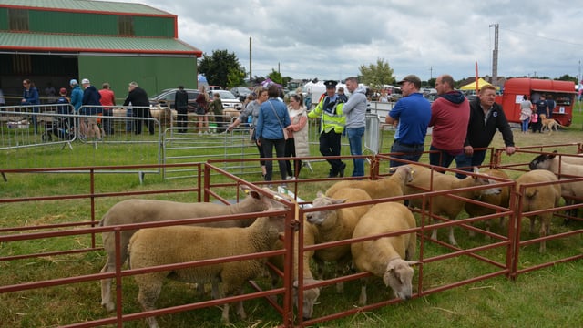 Over 300 competitive classes for Ossory Agricultural Show