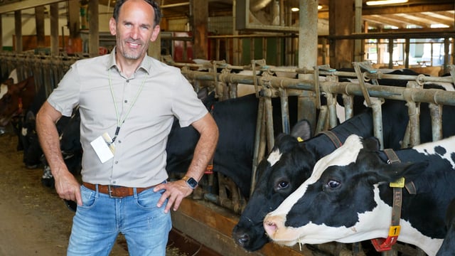Farm Focus: 600-day lactation at multifaceted German farm