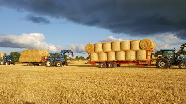 Straw trade: What are prices looking like for this year?