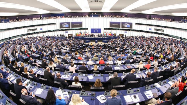 Gorman: Irish farmers must be represented at 'decision making stages' in Europe