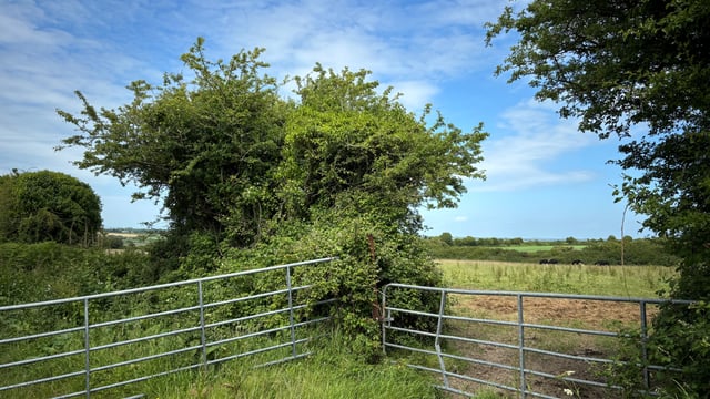 Carlow CoCo agri inspectors to undertake 'investigative monitoring'