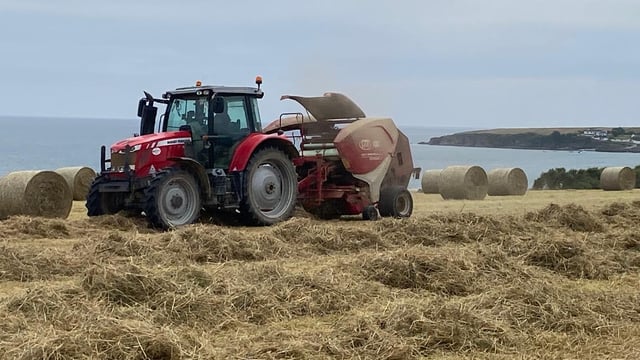 Short weather spell offers potential opportunity for hay