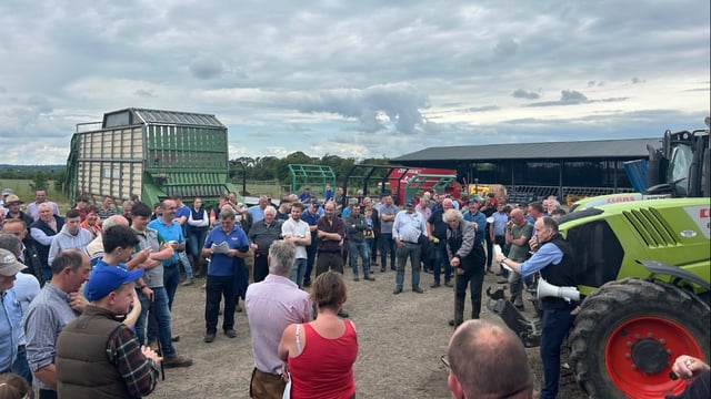 Top price of €6,250 for cow-calf pair at Crann Mor sale