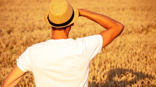HSE: Outdoor workers are particularly vulnerable to skin cancer