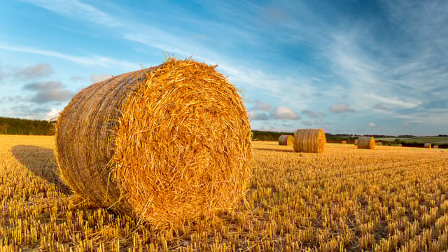 Almost 28,000t of straw imported from UK since 2023