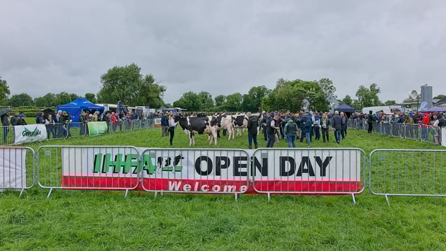 IHFA National Herds Competition winners announced prior to sale