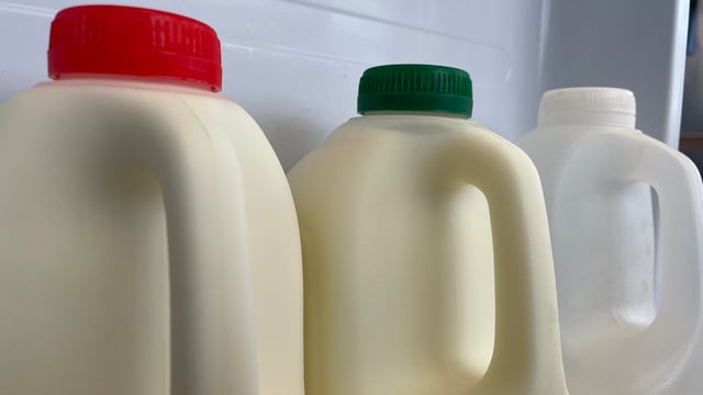 CSO: Price of dairy products down by 14% over 12 months