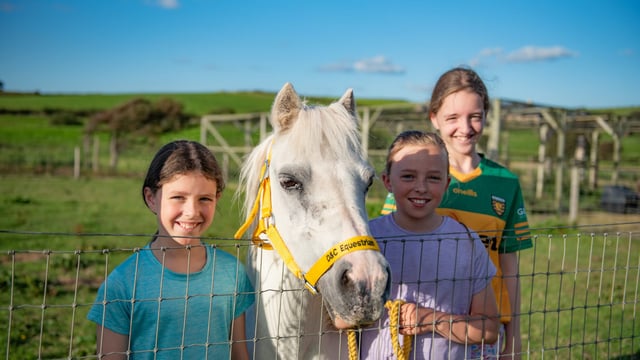 Donegal family's open farm thrives after TB outbreak