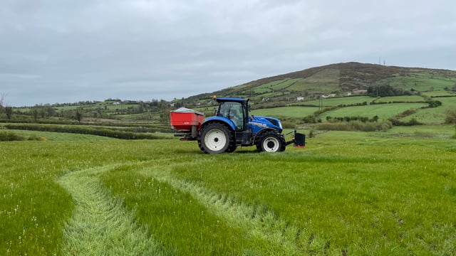 How many 'young farmers' applied for BISS this year?