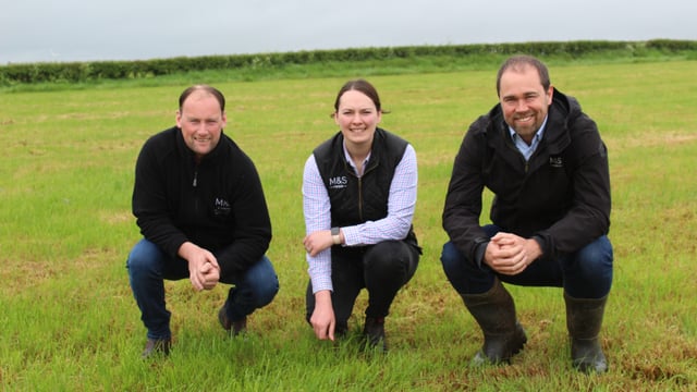 Food to remain a growth area for Marks and Spencer