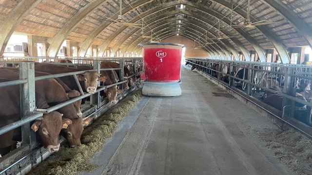 Watch: Italian beef farmers impress Irish tour with robot feed tech