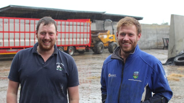 Tillage: Select winter barley crops in Louth have started to lodge