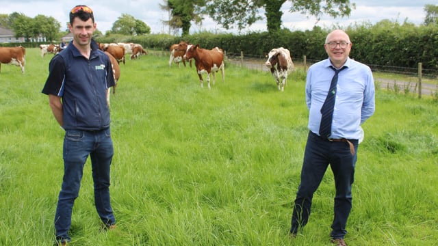 Sexed semen is key to breeding programme on Limerick dairy farm